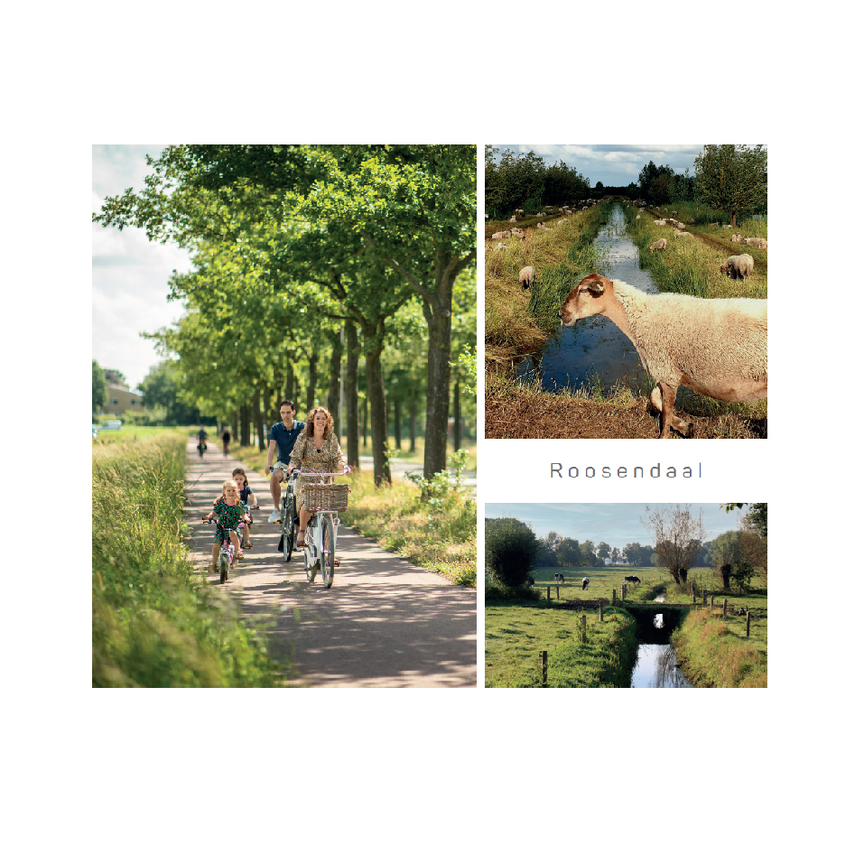 Ansichtkaart Roosendaal natuur