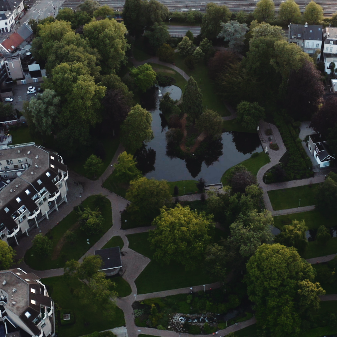 Stadswandeling Groen in de stad, 10 augustus 2024