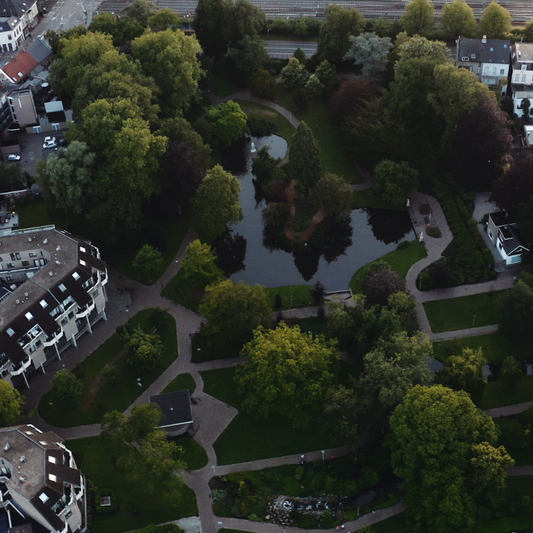 Stadswandeling Groen in de stad, 27 september 2025