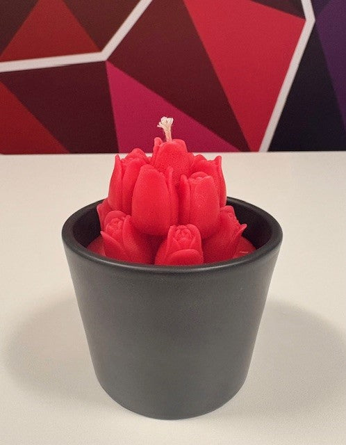 Kaars roosjes in potje